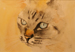 Katze II | Aquarell 24 x 30 cm