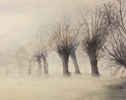 Bume im Nebel auf 150 g Ingrespapier, 38 x 48 cm 