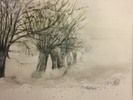 Bume im Nebel II auf 150 g Ingrespapier, 38 x 48 cm 