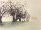 Bume im Nebel III auf 150 g Ingrespapier, 38 x 48 cm 